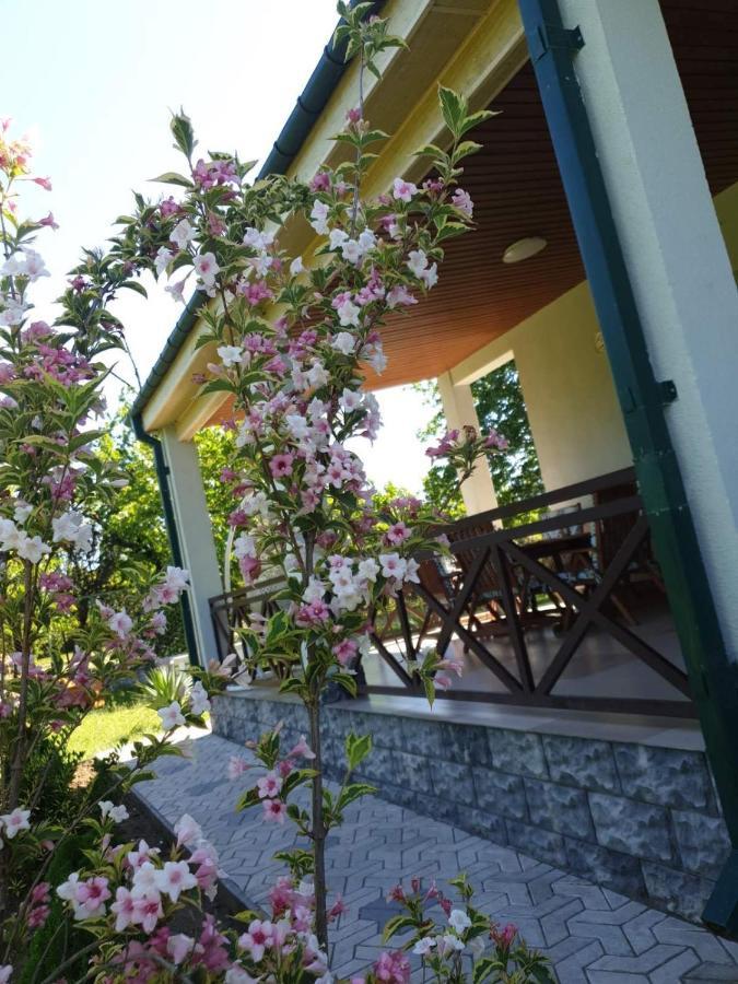 Villa Rokiti 외부 사진