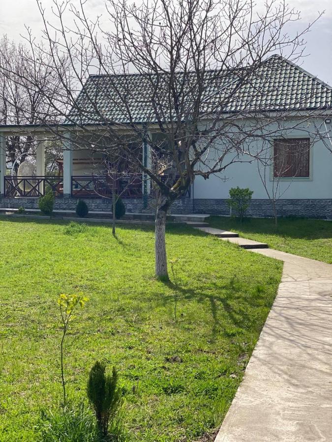 Villa Rokiti 외부 사진