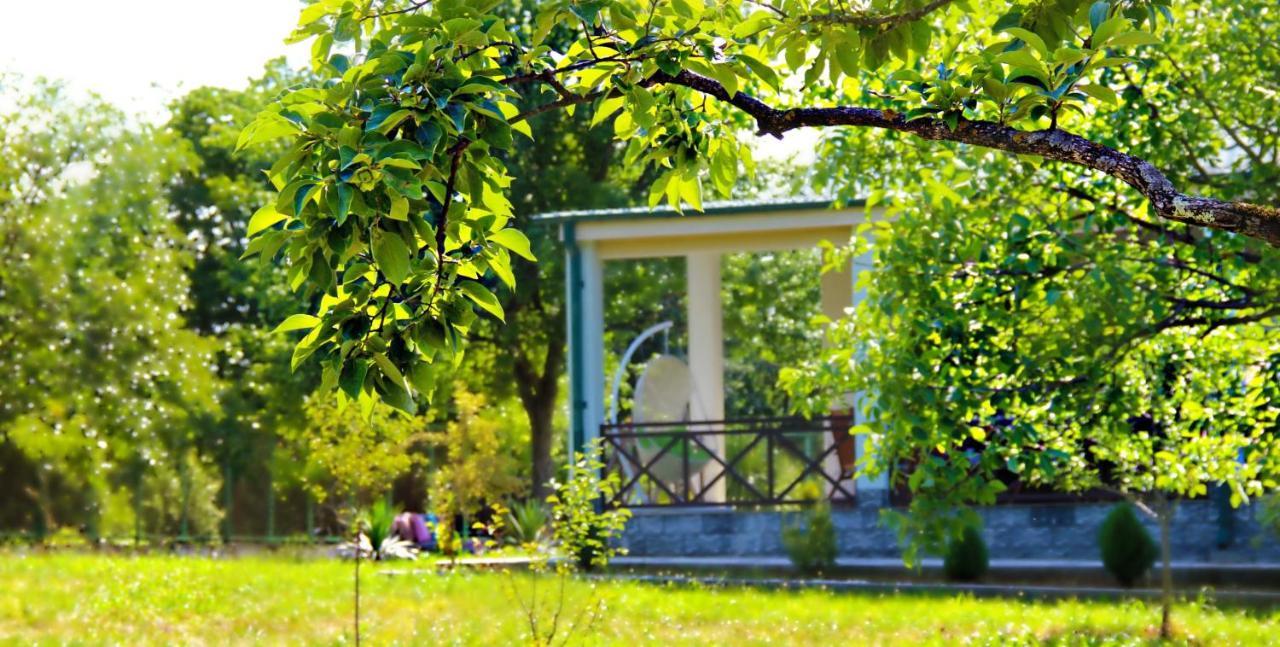 Villa Rokiti 외부 사진